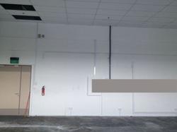 Focus One (D14), Factory #228943301